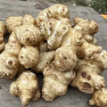 5 Jerusalem Artichoke Tubers for Planting, Fresh Sunroots Sunchokes, Edible Hardy Roots for Home Garden or Raised Beds