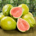 Sweet Pink Guava Trees Live Plants, 7 Months Old Seedlings Well Rooted for Growing, 5-10 Inc in Tall in 4 Inc Pot