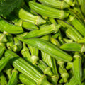 Set 2 of Okra Plants Live, Green Okra Live Plant, 4 Inc Potted, Vegetable Plants Live for Gardening Indoor Outdoor