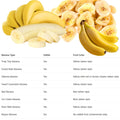 Sets 2 Banana Trees Live Plants in 2.5" Pot, Winter Hardy, Fruit Banana Plants Live for Planting, Dwarf Cavendish Variety