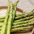 10 Green Asparagus Roots, Bare Root Asparagus Crowns for Planting, Hardy Perennial Vegetable Garden