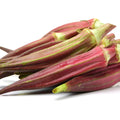 Set 2 of Okra Plants Live, Red Okra Live Plant, 4 Inc Potted, Vegetable Plants Live for Gardening Outdoor
