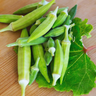 2 Green Okra Plants Live, 4 Inc Potted, Okra Live Plant, Vegetable Plants Live, 5 to 7 Inc Tall