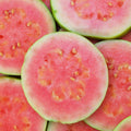 Guava Tree Live Plant, Tropical Guava Fruit Seedling, 5-9” Height, in Pot for Planting Home Garden (Pink Guava)