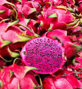 Dragon Fruit Plant Live 3 to 6 Inc Tall for Growing Outdoors, Delicious Large Sweet Fruit