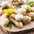 10 Jerusalem Artichoke Tubers, Sunchokes Sunroots for Planting, Large Size, Hardy Perennial Artichoke Roots Vegetables for Garden
