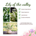 10 Lily of The Valley Plants Live, Lilies Flower Bulbs Bareroots, Perennial Flowering Plants for Outdoor Growing