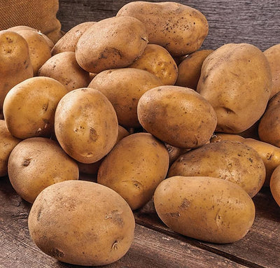 Yukon Potato Seeds for Planting Outdoors, 60 Seeds True Potato Seeds Growing Potato Seeds