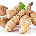 10 Jerusalem Artichoke Tubers, Sunchokes Sunroots for Planting, Large Size, Hardy Perennial Artichoke Roots Vegetables for Garden