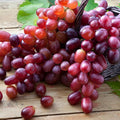 Seedless Grape Vine Live Plant for Planting, 6-10" Potted, Cold Hardy, Spring Fast-Growing and High Yielding (Red Grapes Variety)