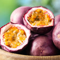 2 High Yield Passion Fruit Plants Live, Deep Purple Climbing Passion Vine Tree Live Plant for Outdoor Growing, 5-9" in Tall, Fast Growing Perennial Sweet and Edible Fruits