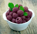 Pack 2 Raspberry Plants Live for Planting, Cold Hardy Raspberry Trees Live Plants, 4 to 9 Inches Tall, Sweet Berry Fruits Seedlings (Purple Thornless Raspberry)