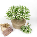 10 White Lily of The Valley Bulbs Rhizomes Roots, May Lilies Easy to Grow for Early Bloom, Cold Hardy, Bouquet and Home Décor