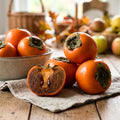 Persimmon Tree Plant Live, 1-2 Ft Tall