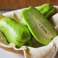 Chayote Squash Plant Live, Chayote Plant, Edible Vegetable Vine Plants, 7 to 9 Inc Tall, Gallon Pot, Outdoor Indoor Garden