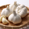 1 Pound Hard Neck Garlic for Planting in Fall, White Garlic Bulb for Planting, Fresh and High Yield, Cold Hardy, Planting Softneck Hardneck