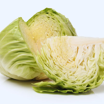 Cabbage Plant Live Pot, Live Cabbage Vegetable Plant Pot 4 Inc