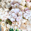 1 Lb Garlic Bulbs for Planting, Hardneck Garlic for Garden or Raised Beds, High-Yield Fresh Hardy Garlic Cloves