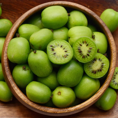 Kiwi Plant Live, Hardy Kiwi Berries Well Rooted Starter Plant, 5-9" Tall