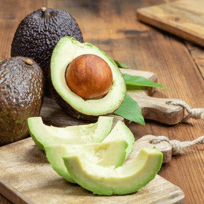 HASS Avocado Plant Live 6-10 Inches Tall, 4 Inc Pot, Well-Rooted Avocado Tree Starter for Home Garden and Containers