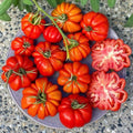 Beefsteak Tomato Plants Live in 4" Pot, 4-6 Inch Tall Starter Plants, Large Slicing Tomato for Garden, Patio and Container Growing