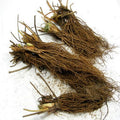 10 Ozark Strawberry Roots Plants Live for Planting, Hardy Everbearing Strawberry Fragrant Strawberries Plant, Large Sweet Fruit