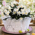 White Easter Cactus Live Plant, Hardy Perennial Easter Cactus, Vibrant Blooming Spring Cactus, Indoor Houseplant, Flowering Holiday Cactus, 4–6 Inch Tall