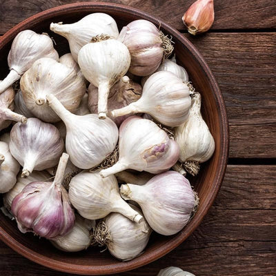 Garlic Bulbs for Planting Garden, Pack 4 Bulbs, Garlic Bulbs for Planting Hardneck Softneck Garlic Seeds