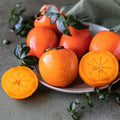 4-Pack Persimmon Trees Live, 1-2 Feet Tall Bare Roots, Cold Hardy Fruit Tree Seedlings for Garden and Orchard Planting, Dormant Plants