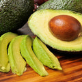 Dwarf Avocado Tree Plant Live, Cold Hardy Avocado Tree, 6-12 Inch Tall