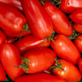 Tomato Plants Live, Red Tomato Plant, Long Red Fruit, Vegetable Plant from 6–8 Inches Tall in 4 Inch Pot for Outdoor Growing