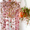 String of Hearts Plant in 2.5-Inch Pot, Rare Trailing Succulent for Indoor Planting, Hanging Houseplant for Decoration