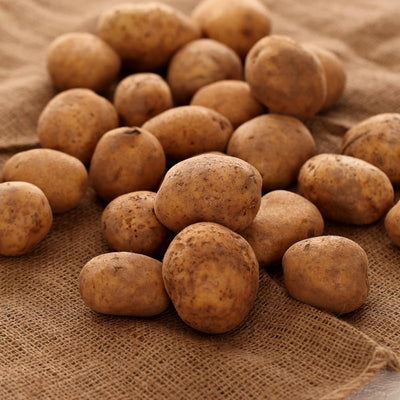 60 Red Potato Seeds for Growing Outdoors, True Potato Seeds Easy to Plant