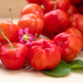 2 Barbados Cherry Tree, Edible Cherry Fruit Tree, Tropical Fruit Plant, 4-7 Inch Tall, Ready to Grow