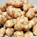 5 Jerusalem Artichoke Tubers for Planting, Fresh Sunroots Sunchokes, Edible Hardy Roots for Home Garden or Raised Beds