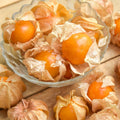 Cape Gooseberry Live Plant, 7-10" Tall in 4 Inch Pot, Sweet Golden Berry Fruit Plant for Garden