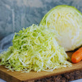 Cabbage Plant Live Pot, Vegetable Plants Live Small Plant, Cabbage Live Plant Garden