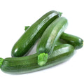 4 Live Squash Plants, 5 to 8 Inch Tall Green Squash Plants Live in 4 Inch Pot, Green Squash Zucchini Plants Seedlings,