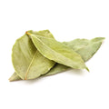 Bay Leaf Plant, Laurus Nobilis Bay Leaf Tree Live Plant, 5-9" Tall, Sweet Bay Laurel Live Plants Indoor Outdoor Patio Home Garden