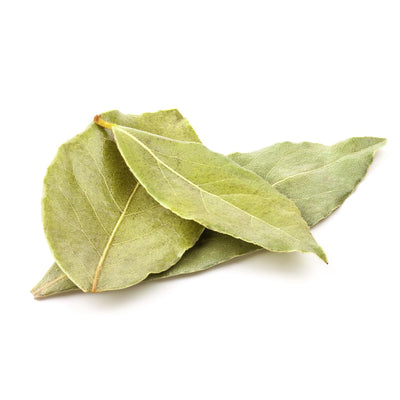 Bay Leaf Plant, Laurus Nobilis Bay Leaf Tree Live Plant, 5-9" Tall, Sweet Bay Laurel Live Plants Indoor Outdoor Patio Home Garden