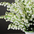 Lily of the Valley Plant Live for Planting, 6 May Lilies Bare Roots, Sweet Fragrant and Weeping White Flowers for Spring Blooms