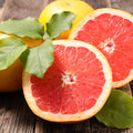 Ruby Red Grapefruit Tree Live Plant in Pot, 1 to 3 Ft Tall, Live Pomelo Tree for Growing