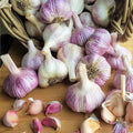 1 Pound Mixed Garlic Bulbs for Planting, Fresh Heirloom Garlic Bulbs for Growing Outdoors Garden