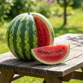 2PPP Sweet Watermelon Live Vine Plant, Watermelon Fruit Plant Live 4-7" Tall in 4" Pot, Red Sweet Fruit, Fast Growing Outdoor Garden Plant