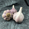 Garlic Bulbs for Planting Garden, Pack 4 Bulbs, Garlic Bulbs for Planting Hardneck Softneck Garlic Seeds