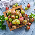 1 Pixwell Gooseberry Plant Live, Gooseberry Bush Live Plant for Planting Your Garden, Gooseberry Shrub Starter Plant 5-9 Inch Tall