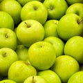 Live Granny Smith Apple Tree Plant 6-10 Inch Tall