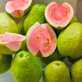Guava Tree Live Plant 6-9” Tall, Tropical Guava Seedling for Garden and Container Growing (Pink Guava)