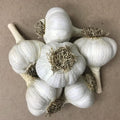 Garlic Bulbs for Planting, 1/2 Lbs, 4 to 5 Garlic Bulbs for Growing