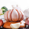 1 Pound Hard Neck Garlic for Planting in Fall, Big Garlic Bulb for Planting, Fresh and High Yield, Cold Hardy, Planting Softneck Hardneck